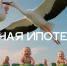 Национальный проект «Семья»: поддержка там, где она нужна. - Афанасьевский муниципальный округ
